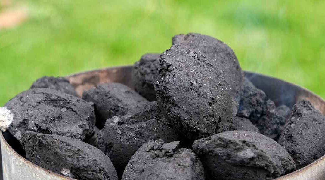 How Does Activated Charcoal Work?